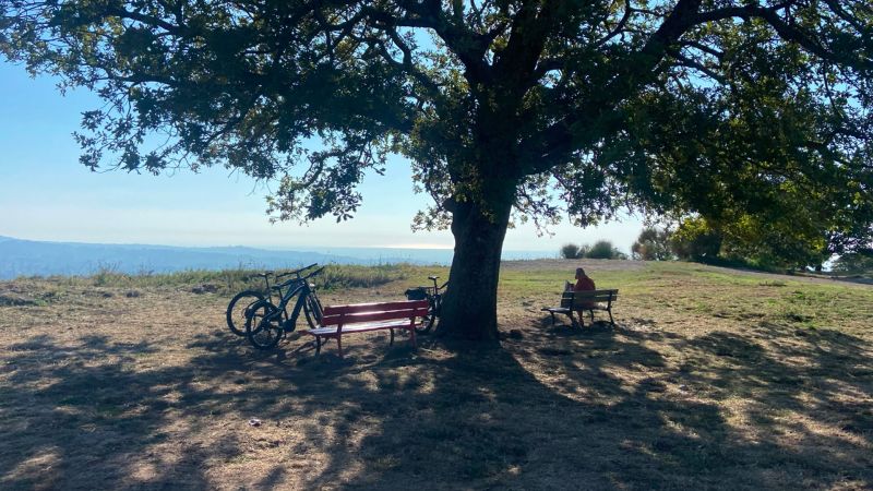 Tour guidato in e-bike al Monte Tuscolo